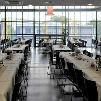 - Image 7  - Image 7